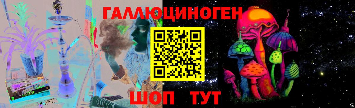 Псилоцибиновые грибы Psilocybe Кстово