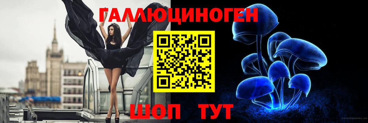 Псилоцибиновые грибы прущие грибы  Вход с VPN  Галлюциногенные грибы прущие грибы  Кстово 